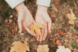 Trovare lavoro in autunno: alcuni consigli pratici